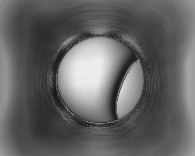 X0000087560400200704270929