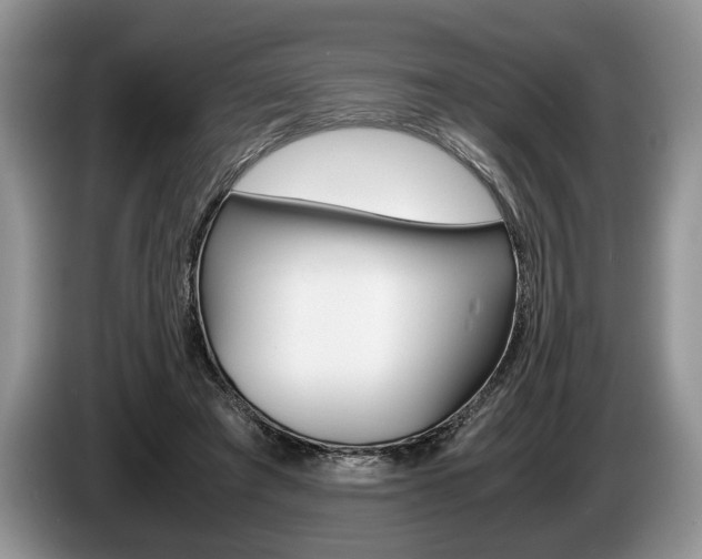 X0000087560401200704270929