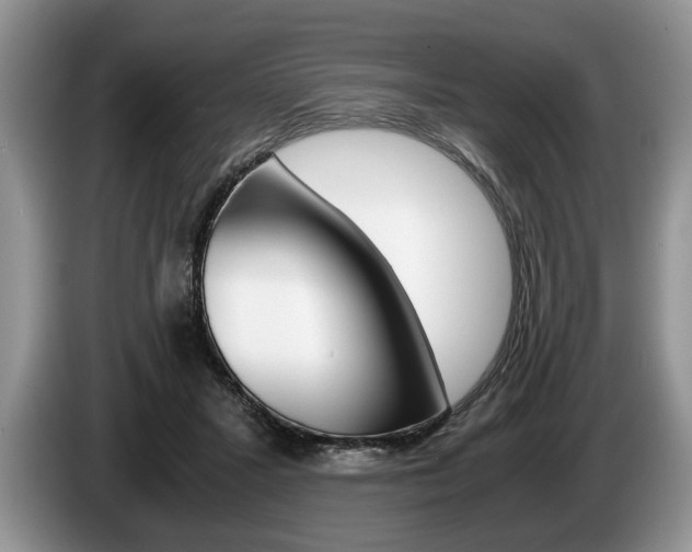 X0000087560407200704270929