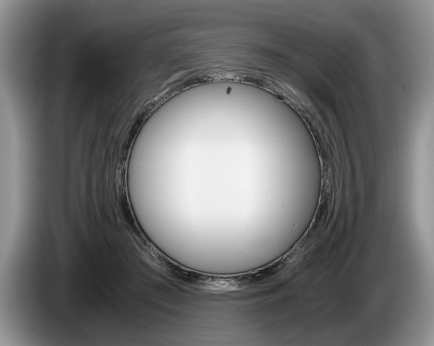 X0000087560409200704270929