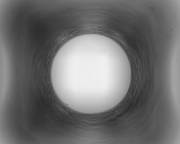 X0000087560411200704270929