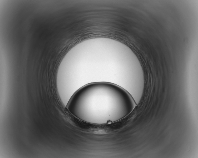 X0000087560412200704270929