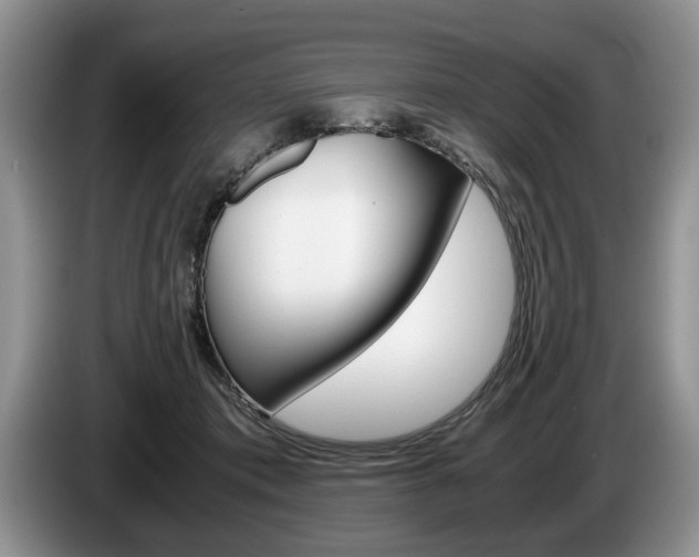 X0000087560413200704270929