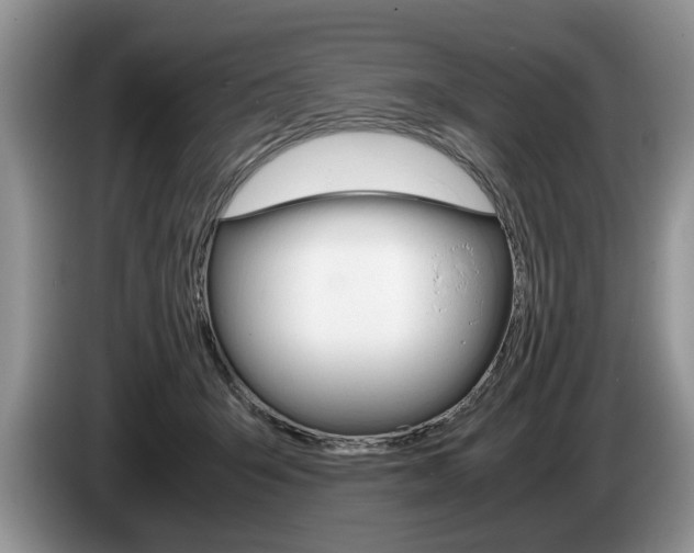 X0000087560415200704270929