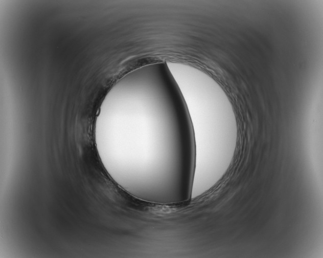 X0000087560421200704270929