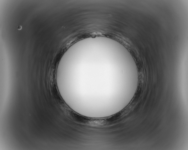 X0000087560422200704270929