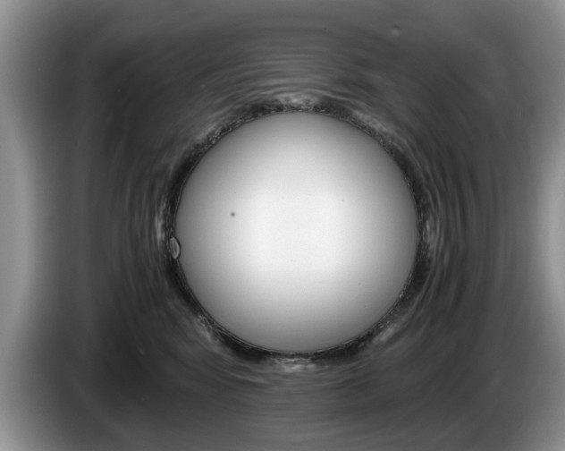 X0000087560424200704270929