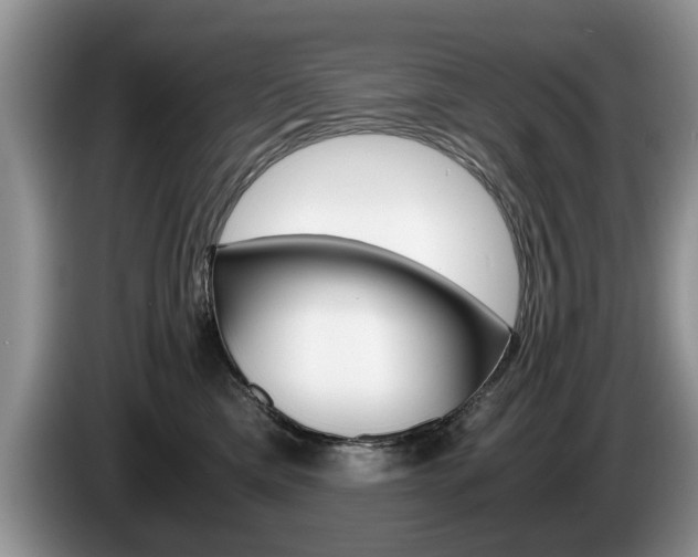 X0000087560425200704270929