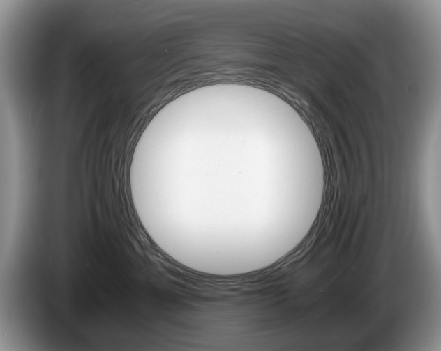 X0000087560429200704270929