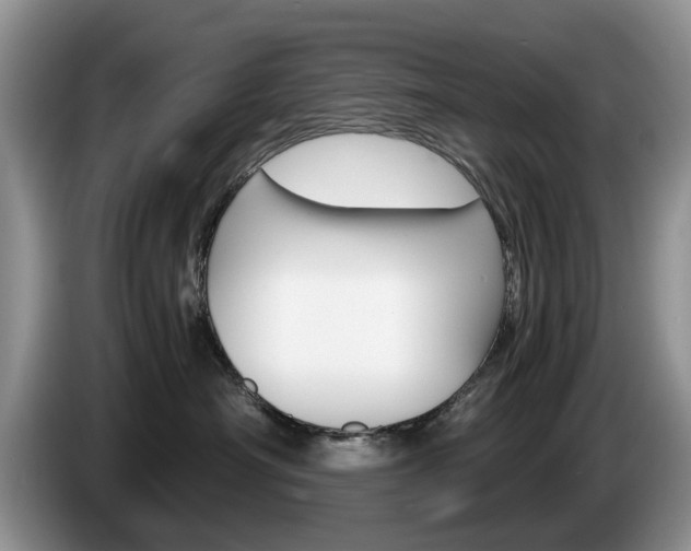 X0000087560430200704270929