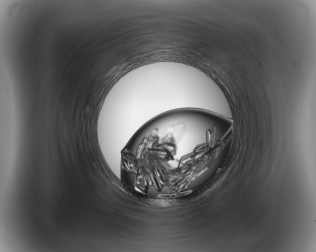 X0000087560432200704270929