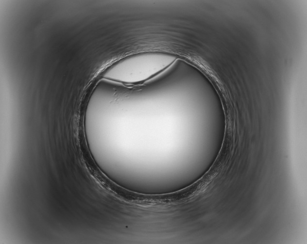 X0000087560434200704270928
