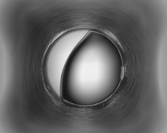 X0000087560436200704270928