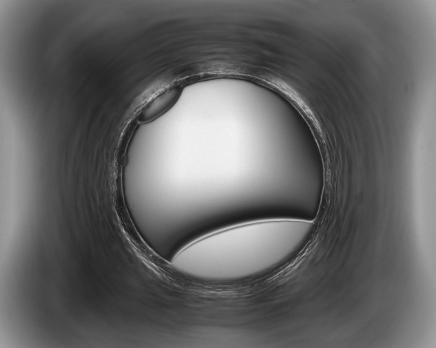 X0000087560437200704270928