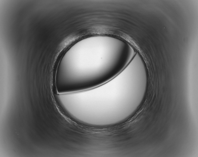 X0000087560438200704270928