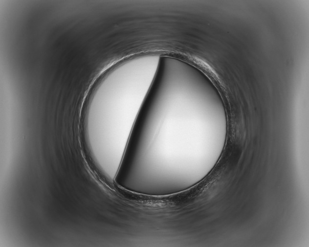X0000087560439200704270928