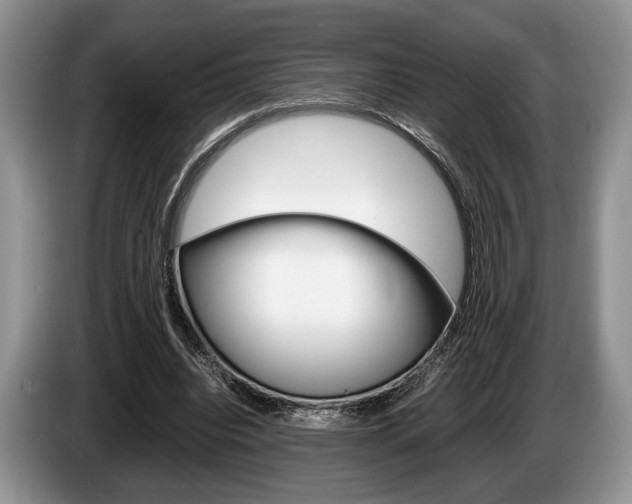 X0000087560440200704270929