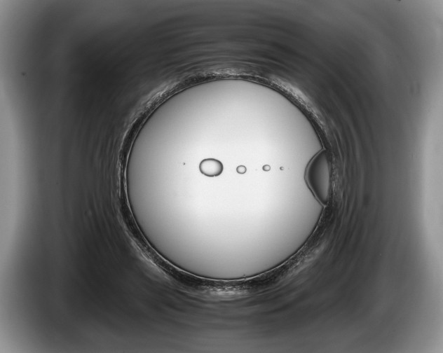 X0000087560445200704270929