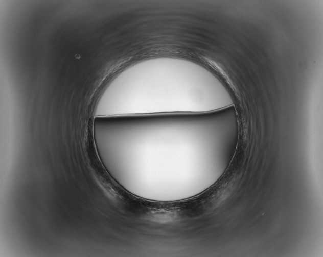 X0000087560447200704270929