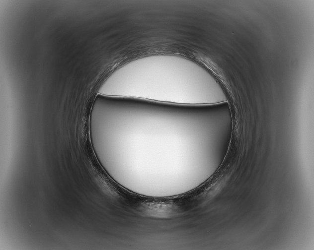 X0000087560449200704270929