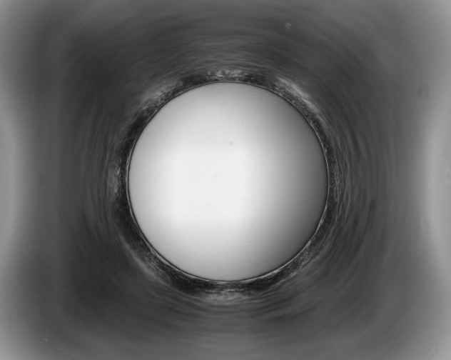 X0000087560451200704270929