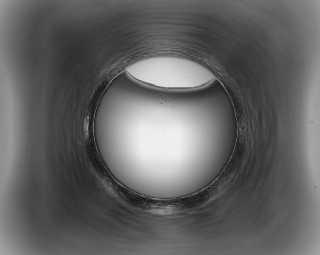 X0000087560454200704270929