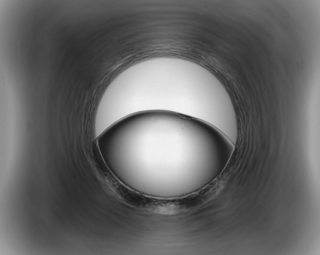 X0000087560456200704270929