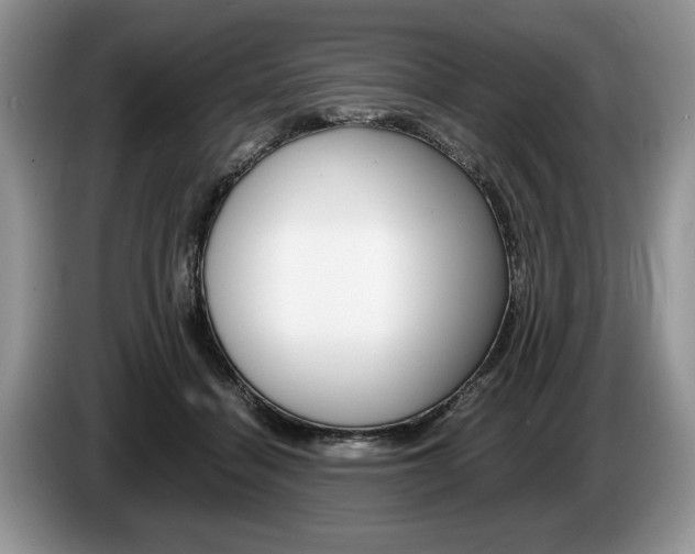 X0000087560460200704270929