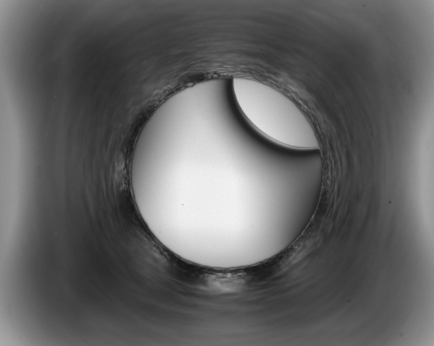 X0000087560465200704270929