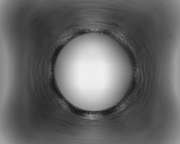 X0000087560466200704270929