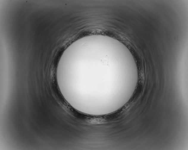 X0000087560468200704270929