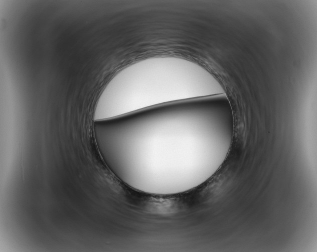 X0000087560469200704270929