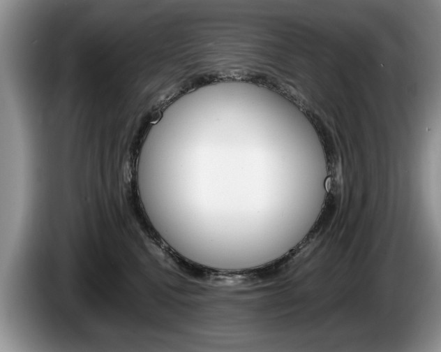 X0000087560472200704270929