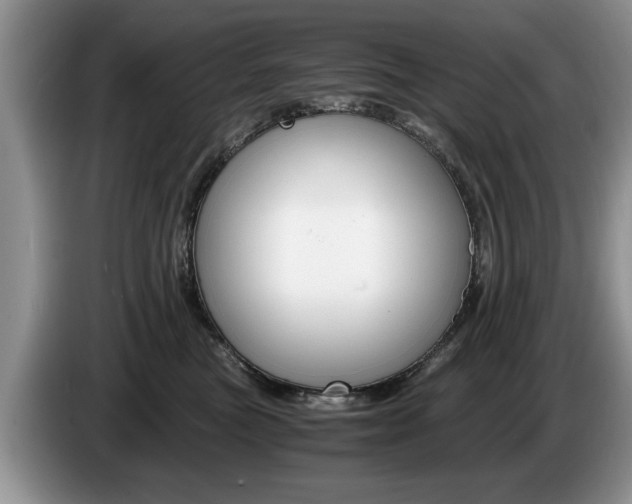 X0000087560473200704270929