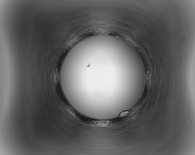 X0000087560474200704270929
