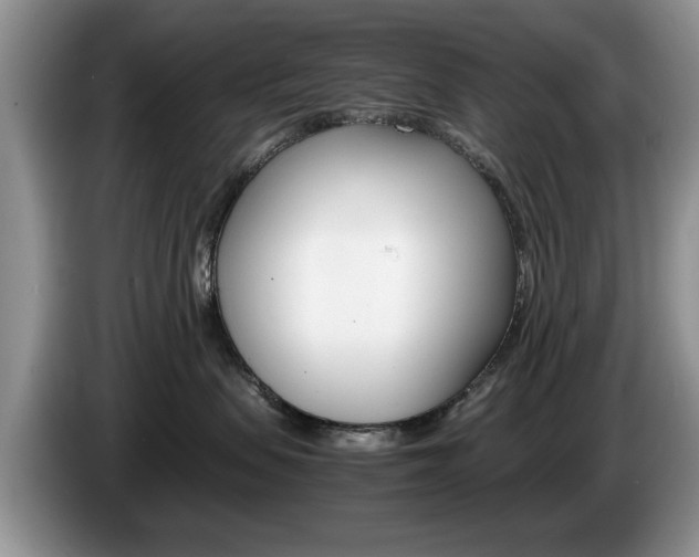 X0000087560479200704270929