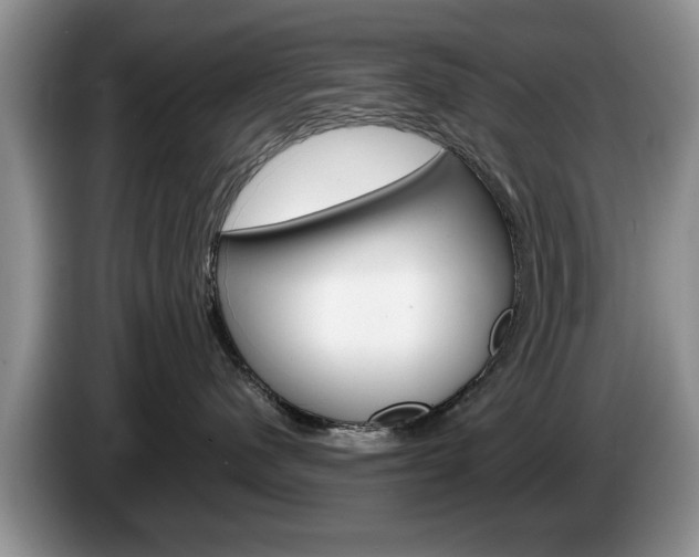 X0000087560480200704270929