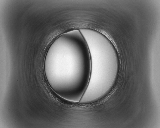 X0000087560481200704270928