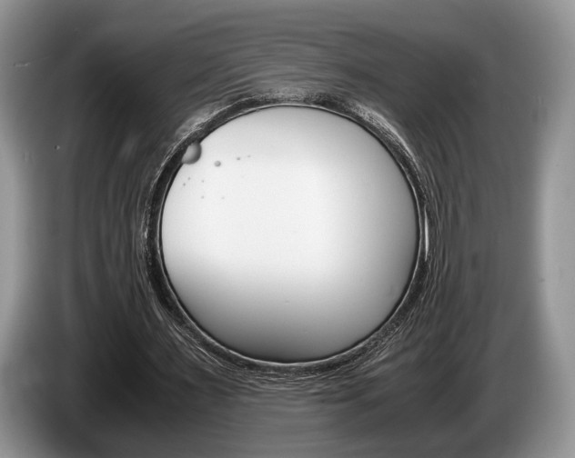 X0000087560483200704270928