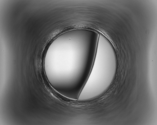 X0000087560485200704270928