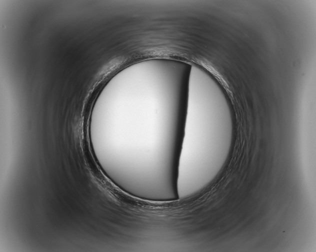 X0000087560486200704270928