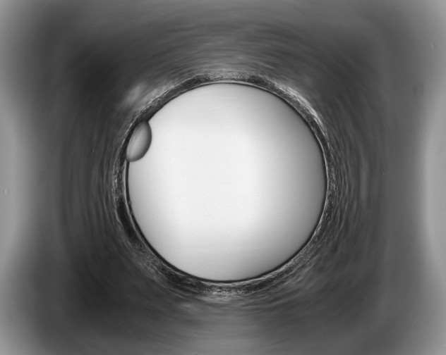 X0000087560487200704270928