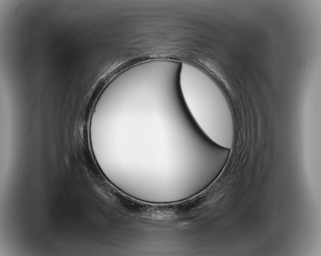 X0000087560491200704270928