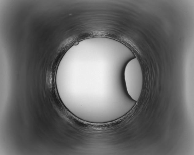 X0000087560494200704270928