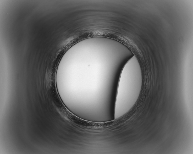 X0000087560496200704270928