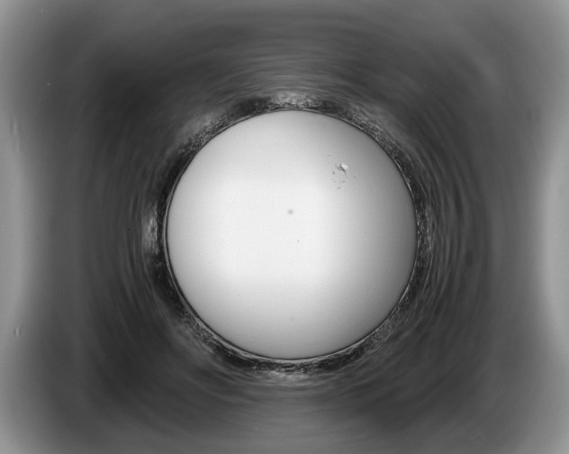 X0000087560502200704270928