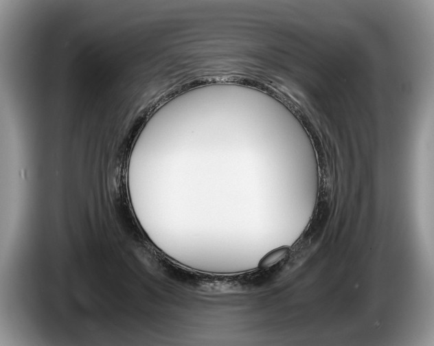 X0000087560503200704270928