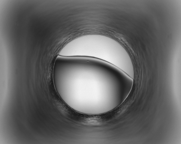X0000087560505200704270928