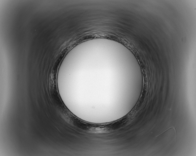 X0000087560506200704270928