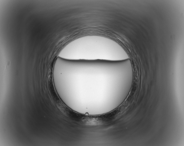 X0000087560507200704270928